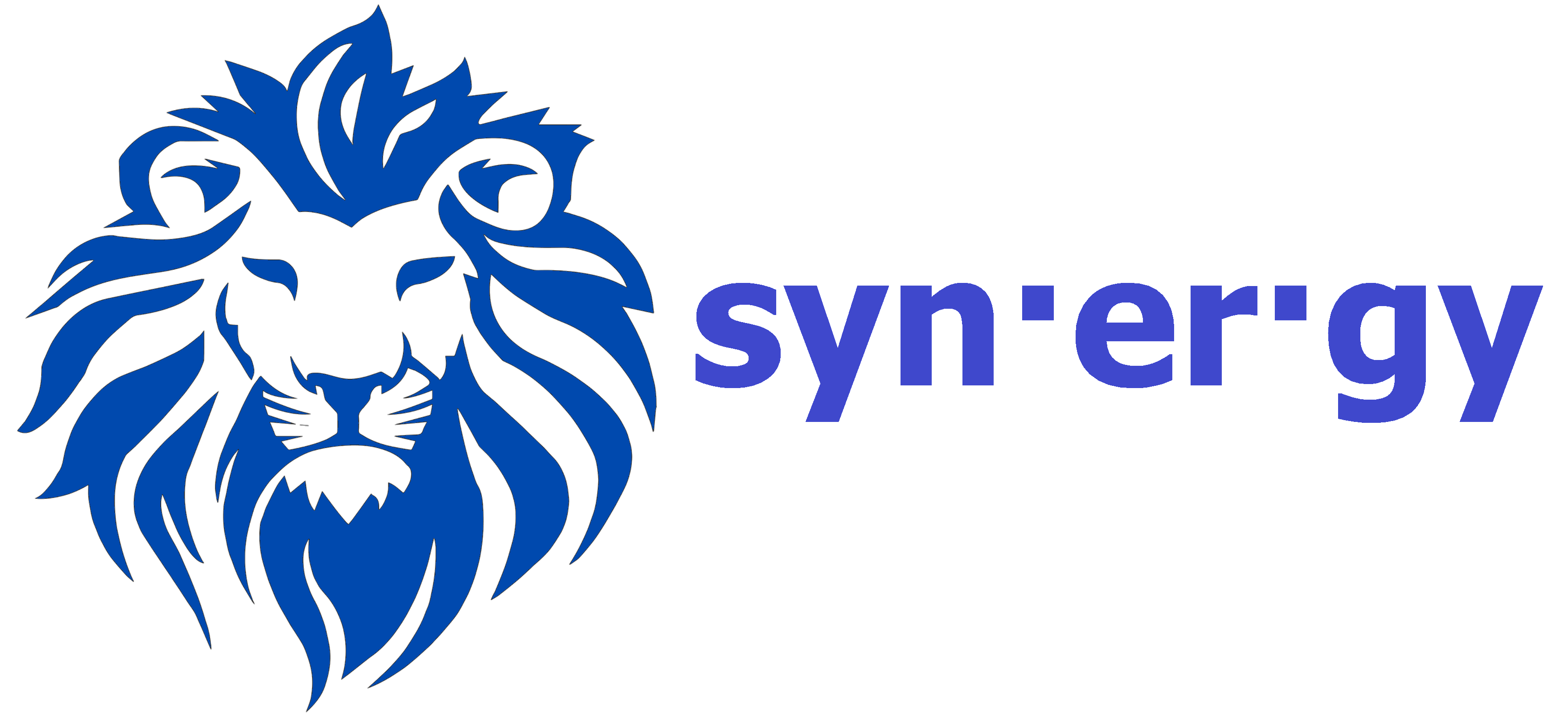 Syn·er·gy